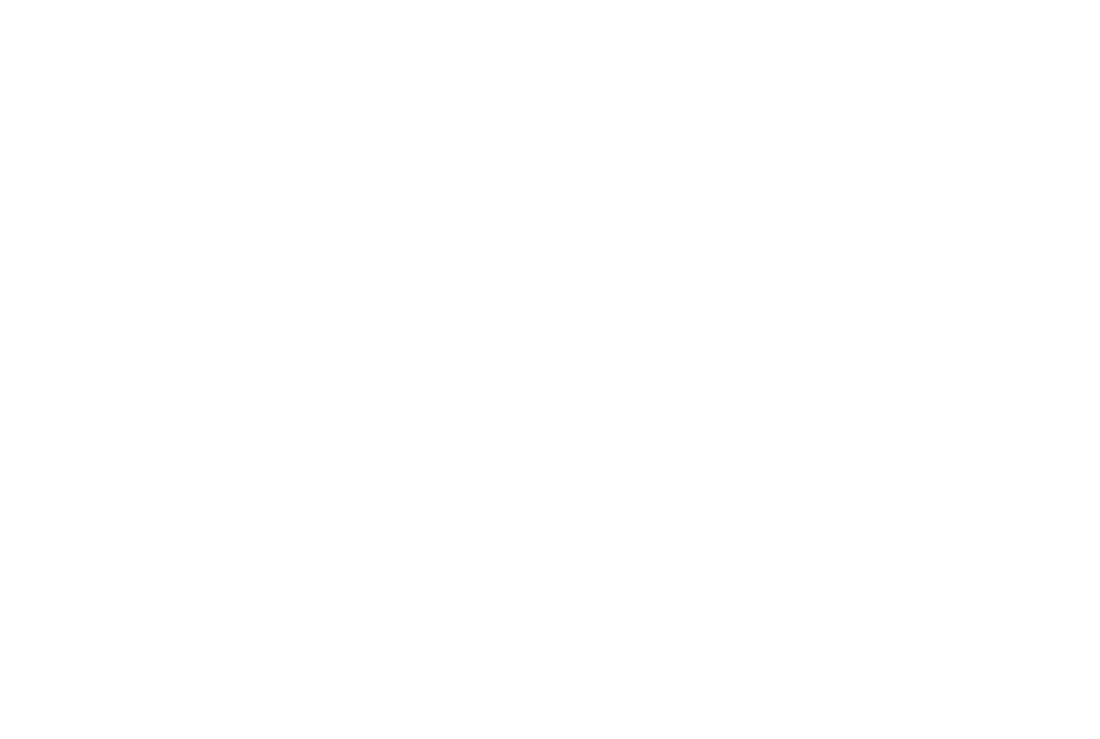 Model Life Capital